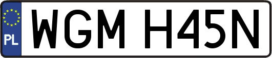 WGMH45N