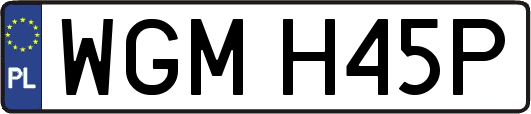 WGMH45P