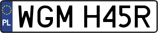 WGMH45R