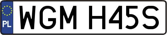 WGMH45S