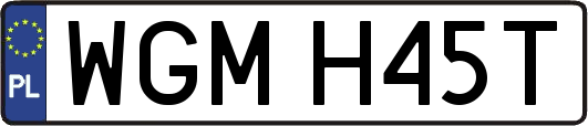 WGMH45T