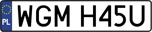WGMH45U