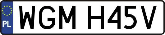 WGMH45V