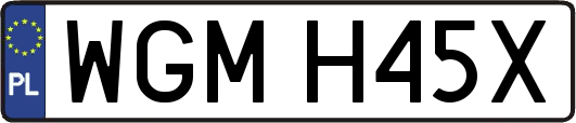 WGMH45X