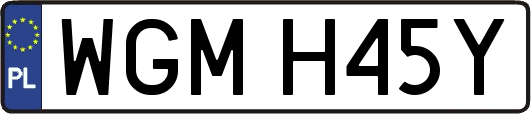 WGMH45Y