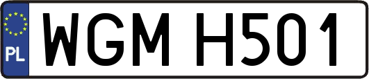 WGMH501