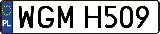 WGMH509
