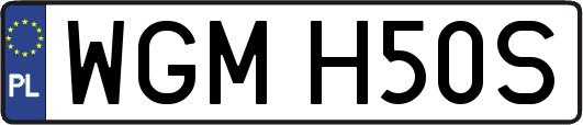 WGMH50S