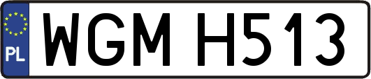WGMH513