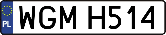 WGMH514