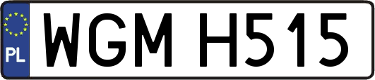 WGMH515
