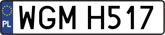 WGMH517