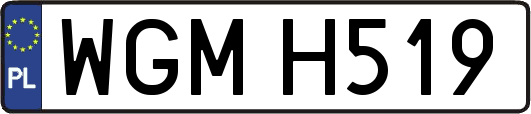 WGMH519