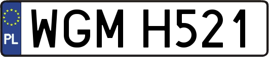 WGMH521