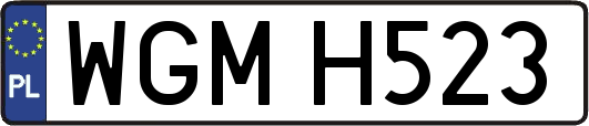 WGMH523