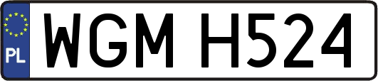 WGMH524