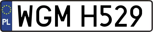 WGMH529