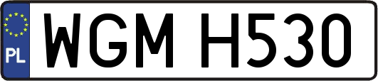 WGMH530