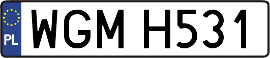 WGMH531
