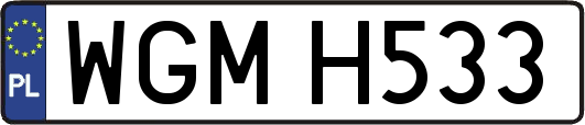 WGMH533