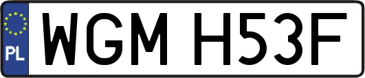 WGMH53F