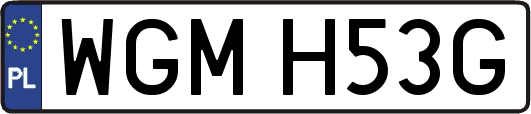 WGMH53G