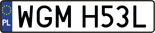 WGMH53L