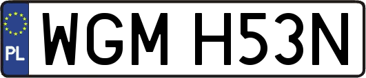 WGMH53N