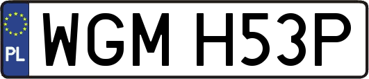 WGMH53P