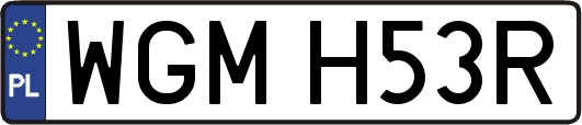 WGMH53R