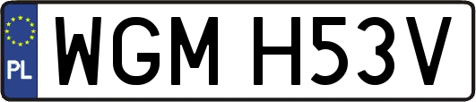 WGMH53V