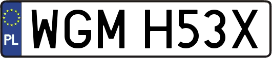 WGMH53X