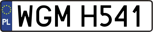 WGMH541