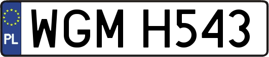 WGMH543