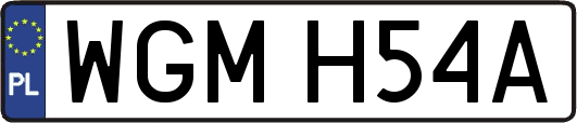 WGMH54A