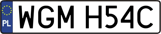 WGMH54C