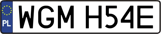 WGMH54E