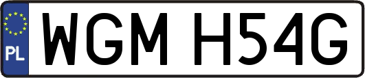 WGMH54G