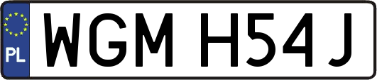 WGMH54J