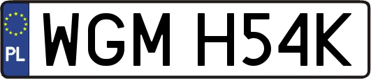 WGMH54K