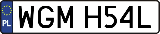 WGMH54L