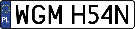 WGMH54N