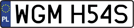 WGMH54S