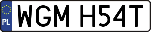 WGMH54T