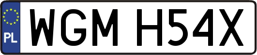 WGMH54X