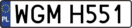 WGMH551