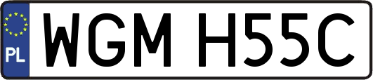 WGMH55C