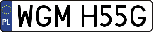 WGMH55G