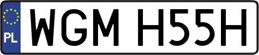 WGMH55H