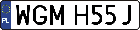 WGMH55J
